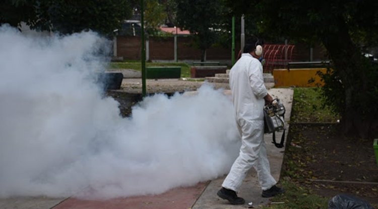 Fumigación contra el dengue.