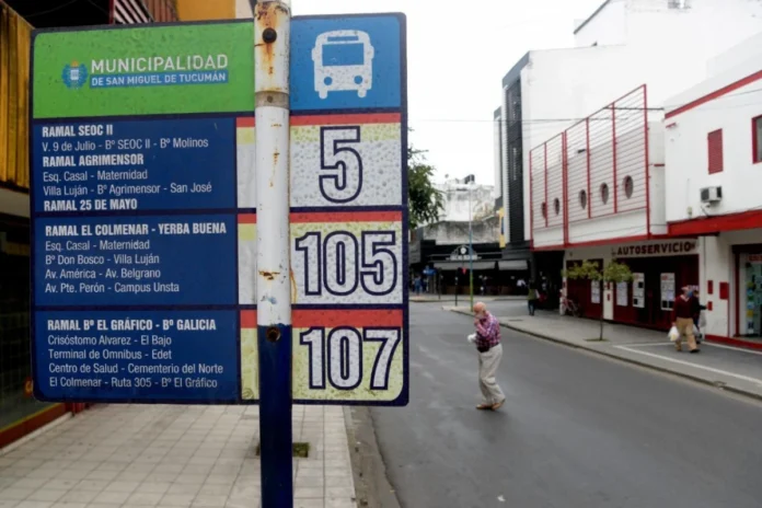 colectivo2